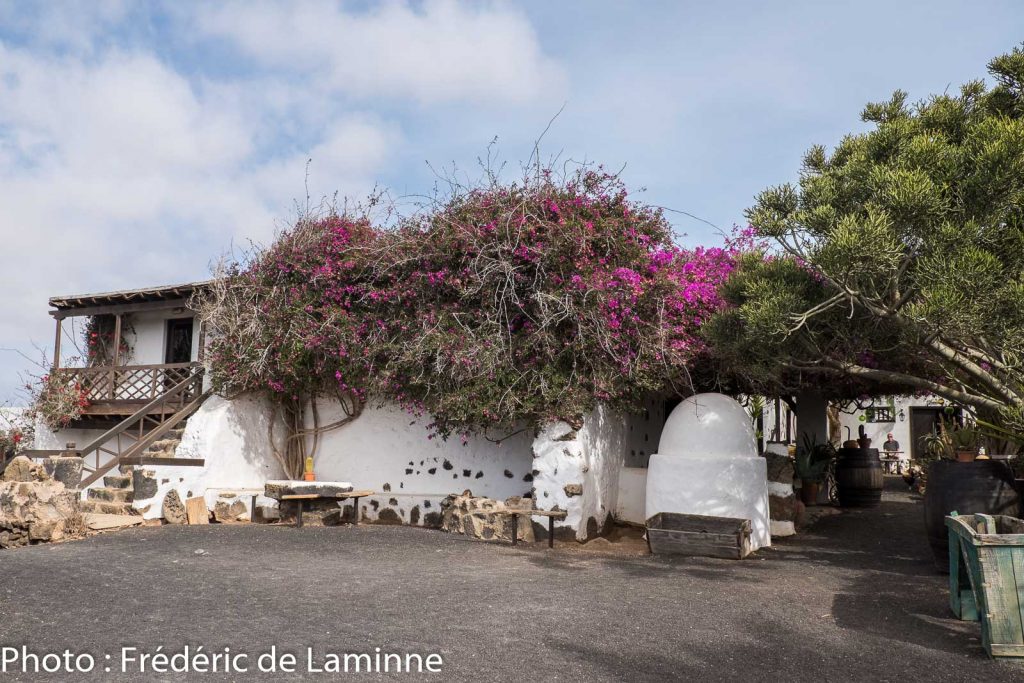 Musée Agricole El Patio (Tiagua) sur l'île de Lanzarote, Canaries le 13/11/2019. Photo : Frédéric de Laminne