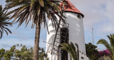 Un ancien moulin à vent au musée Agricole El Patio (Tiagua) sur l'île de Lanzarote, Canaries le 13/11/2019. Photo : Frédéric de Laminne