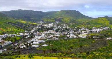 Avec la pluie Lanzarote se couvre de fleurs La ville d'Haria est cernée de tapis verts et jaunes